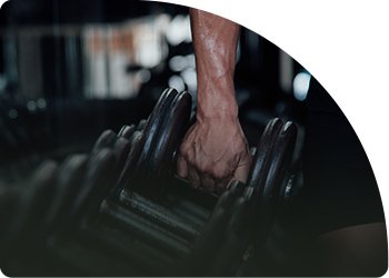 Plano de treino